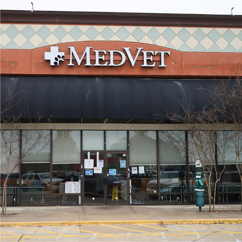 MedVet Houston Bay Area