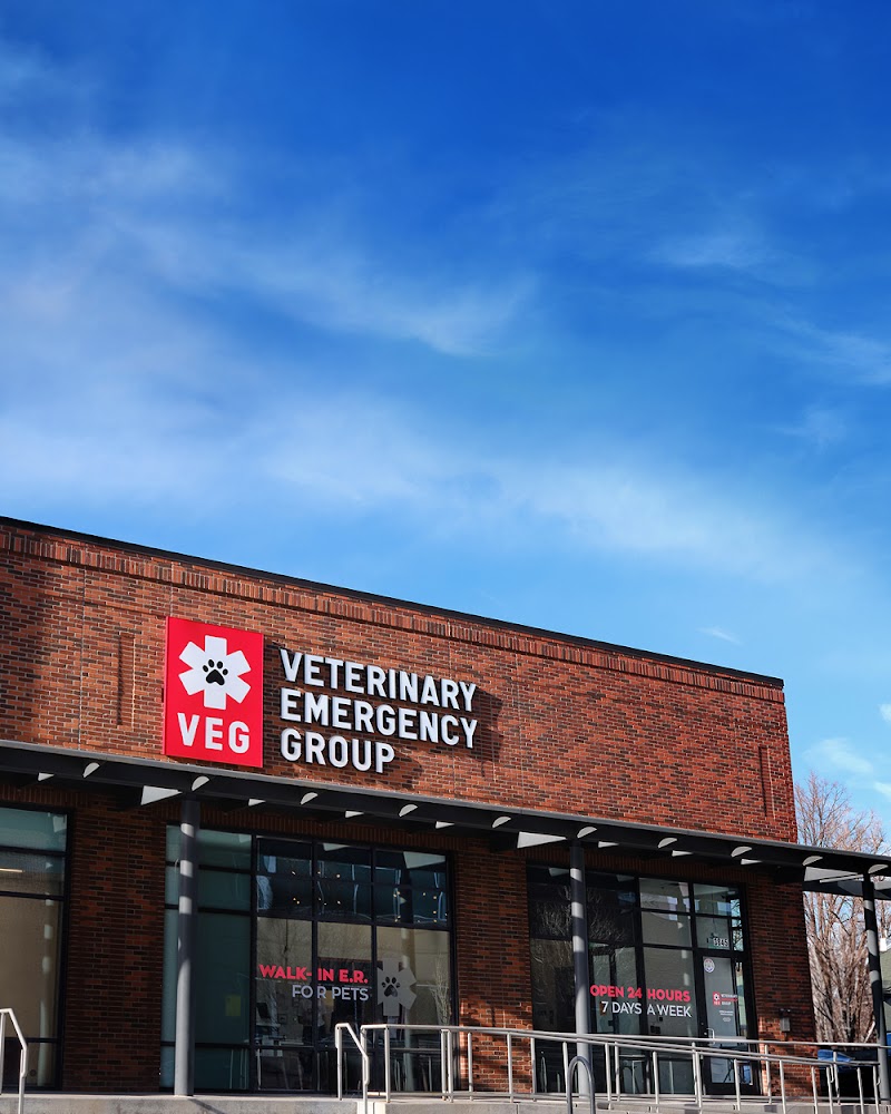 Veterinary Emergency Group