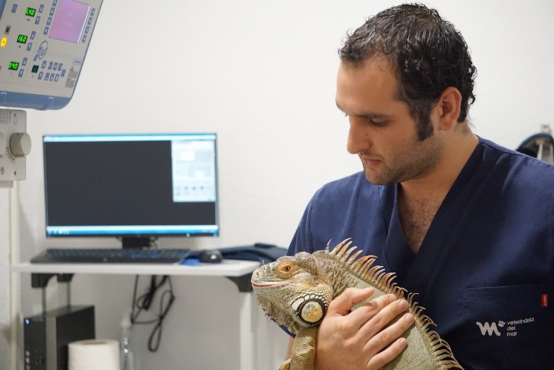 Veterinària del Mar veterinary hospital