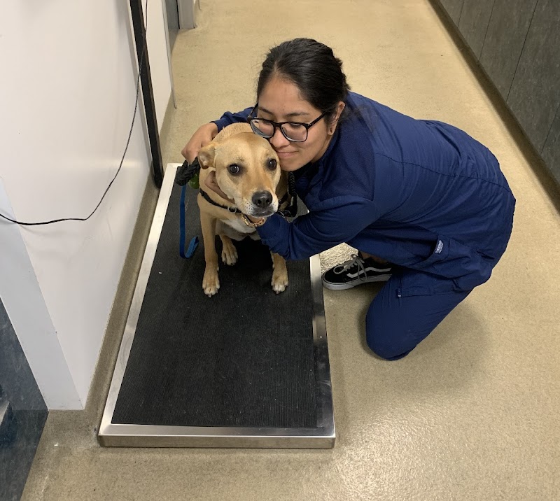 Long Beach Animal Emergency