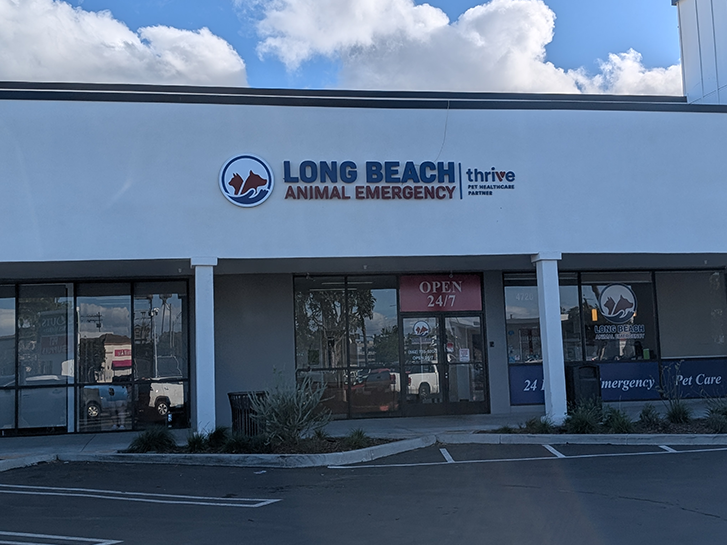 Long Beach Animal Emergency