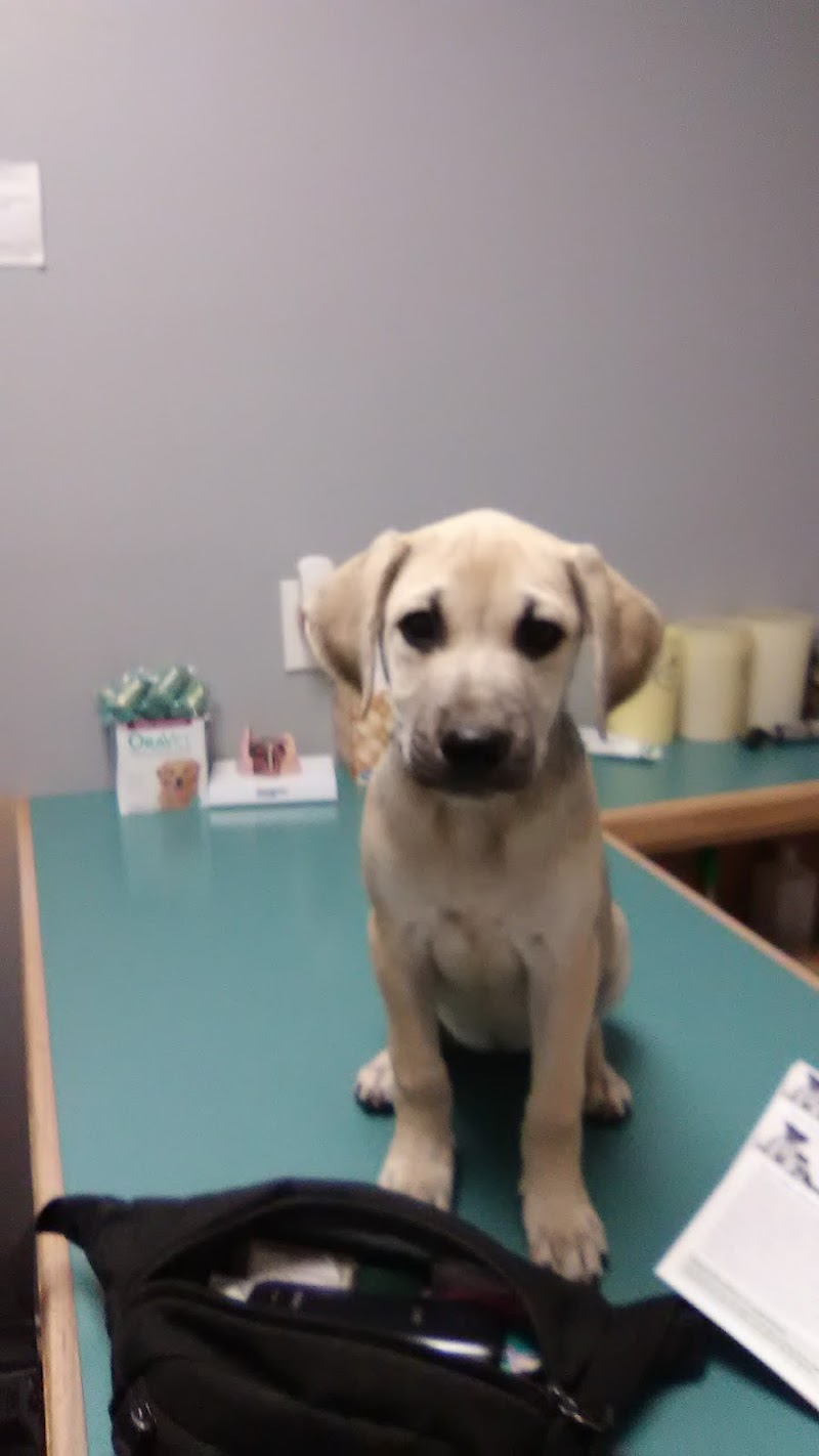 Animal Clinic of Plainview