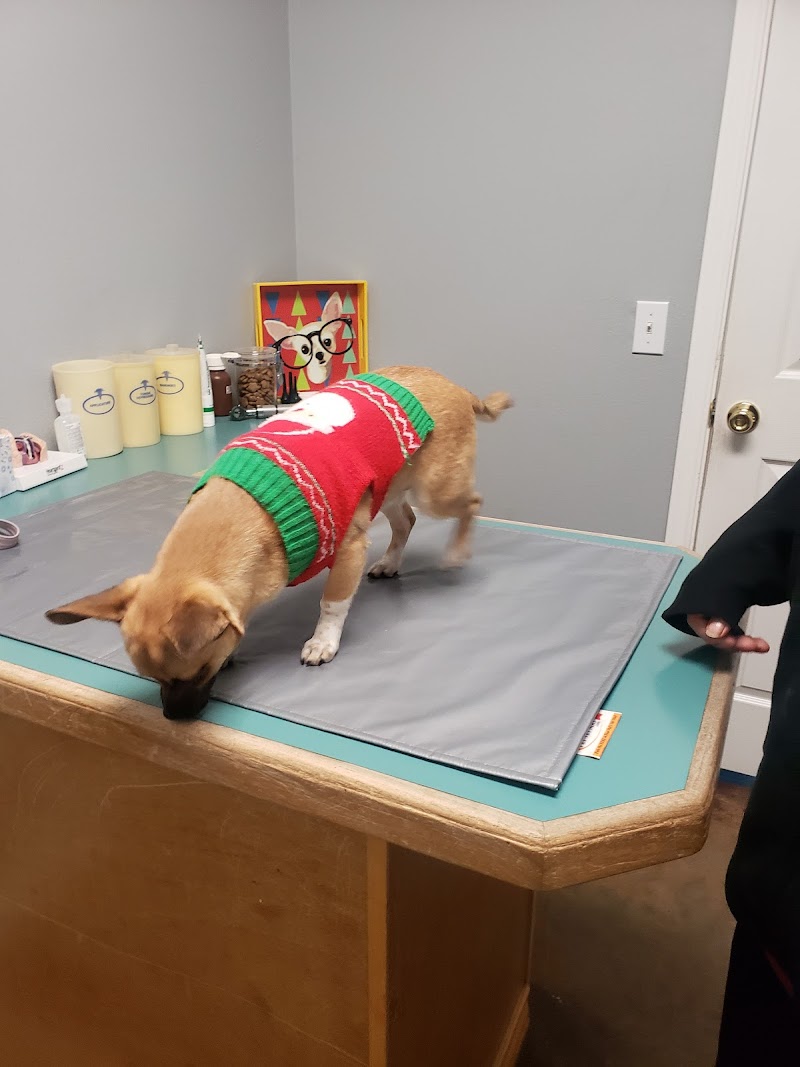Animal Clinic of Plainview