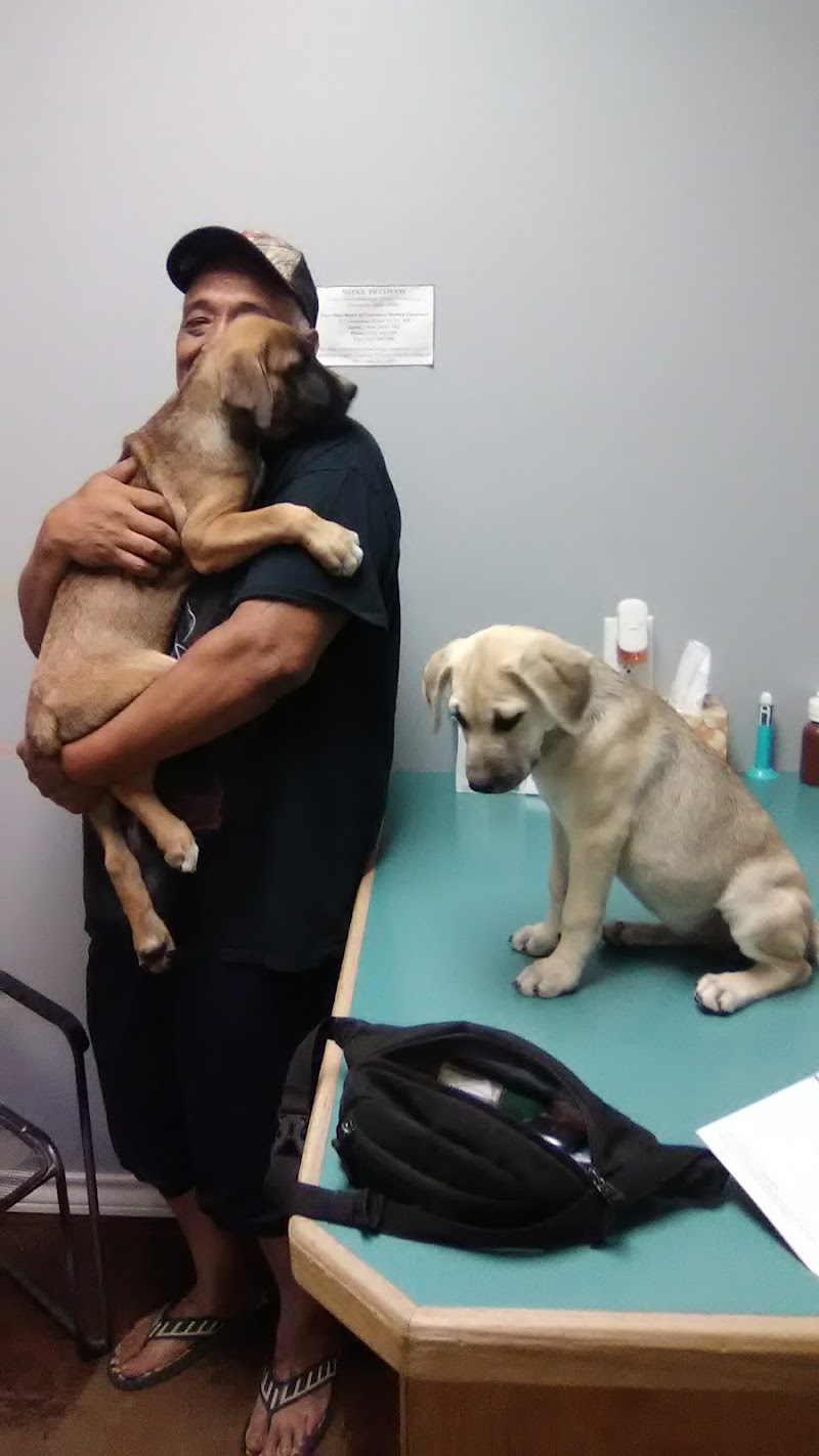 Animal Clinic of Plainview