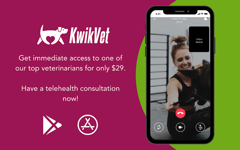 KwikVet - 24 hour veterinarians