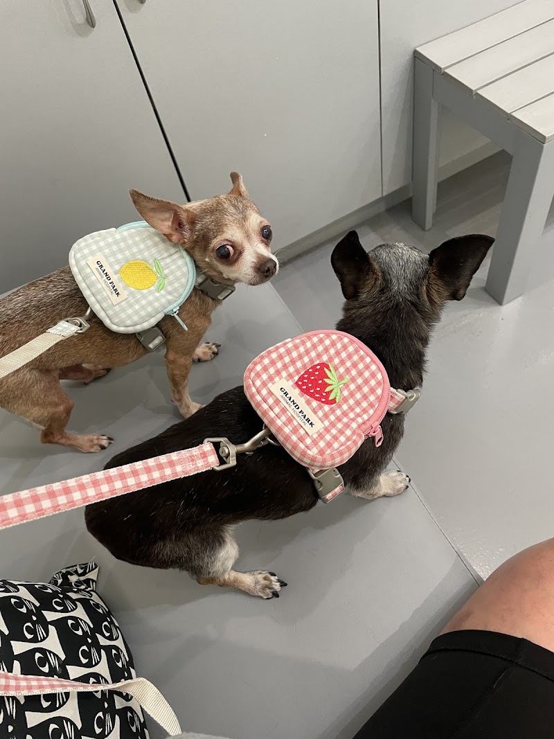 Grand Park Animal Hospital
