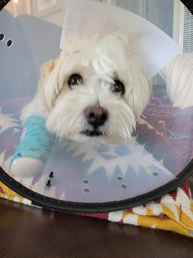 Grand Park Animal Hospital