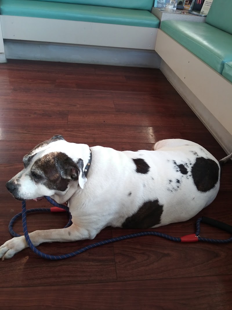 Santa Clara Pet Hospital