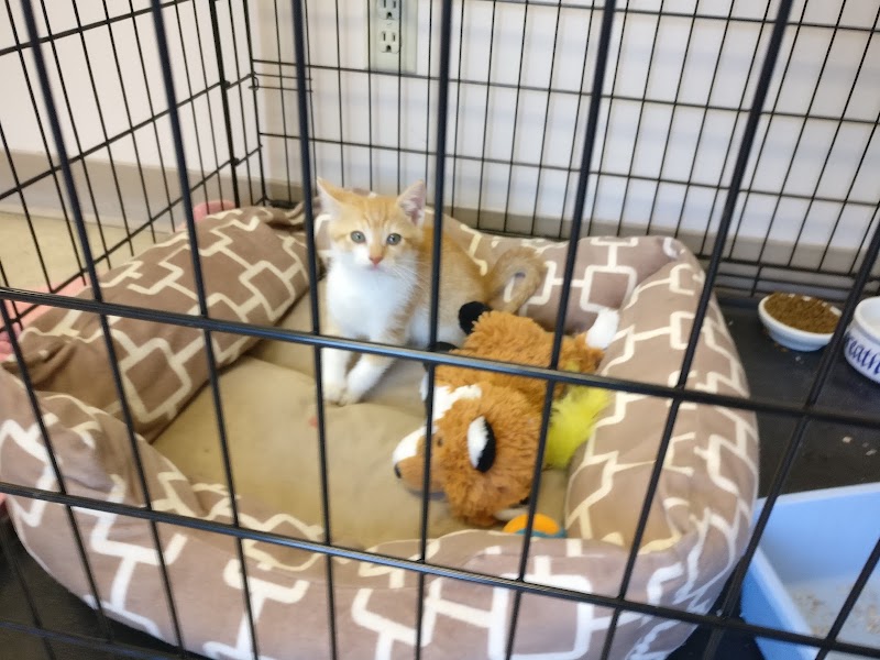 Santa Clara Pet Hospital