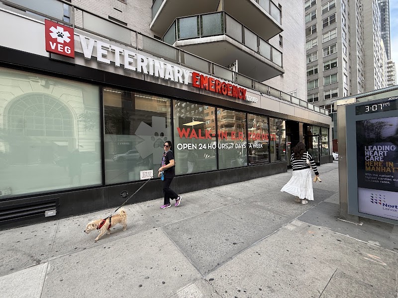 VEG ER for Pets