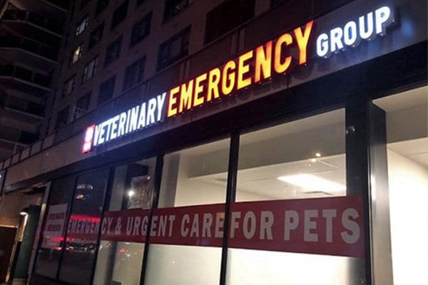 VEG ER for Pets - New York City