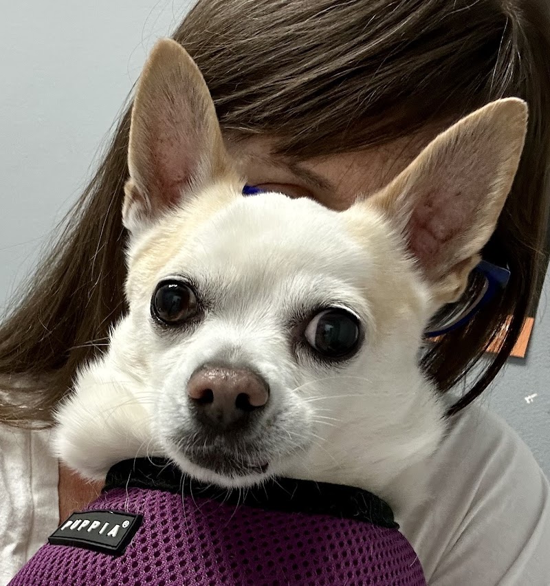 Pet Cure Veterinary Center