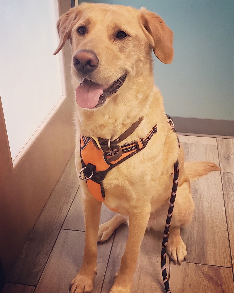 Northfield Veterinary Hospital