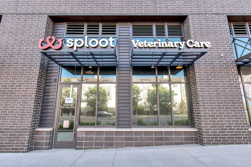 Sploot Veterinary Care - Roscoe Village
