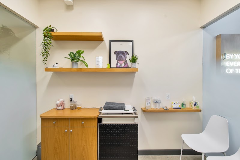 Sploot Veterinary Care - Roscoe Village