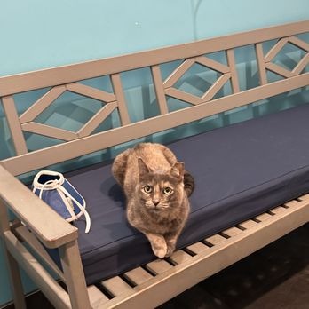 Urban Pet Hospital