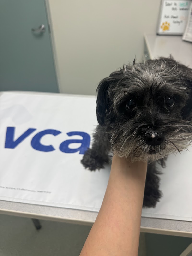 VCA Jones Road Animal Hospital