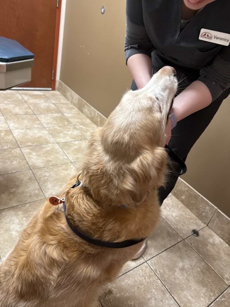 Uptown Animal Hospital