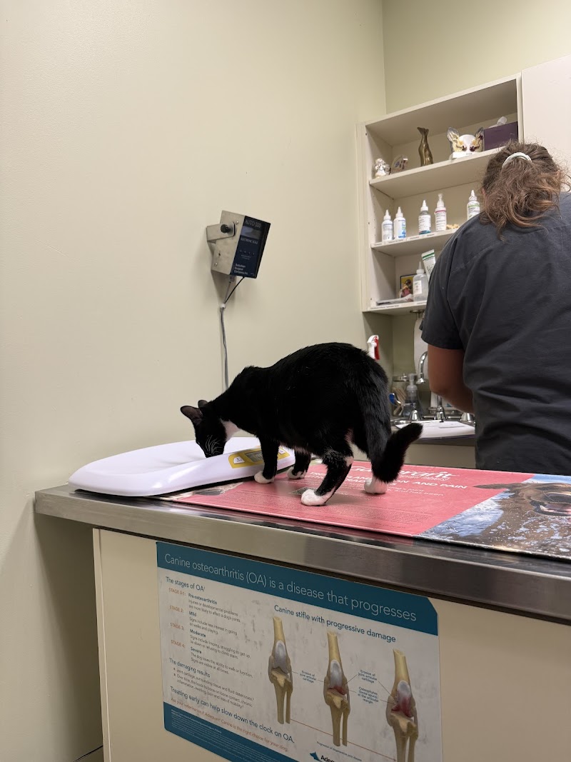 Uptown Animal Hospital