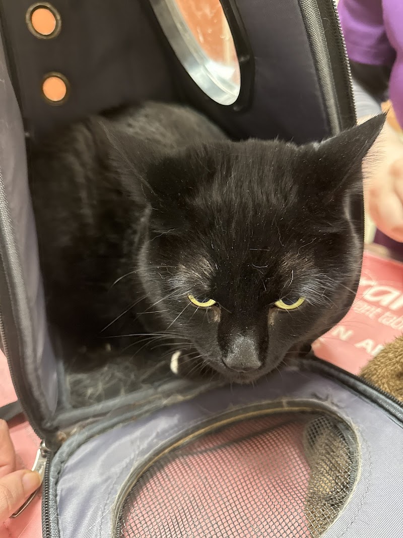 Uptown Animal Hospital