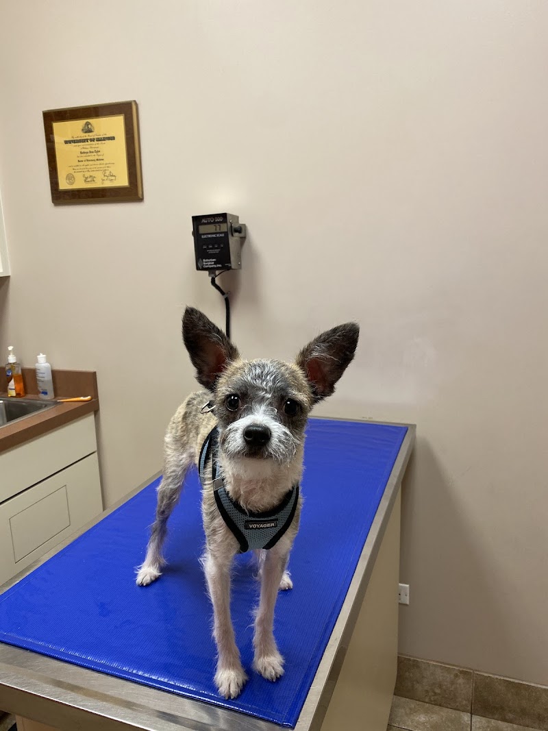Uptown Animal Hospital