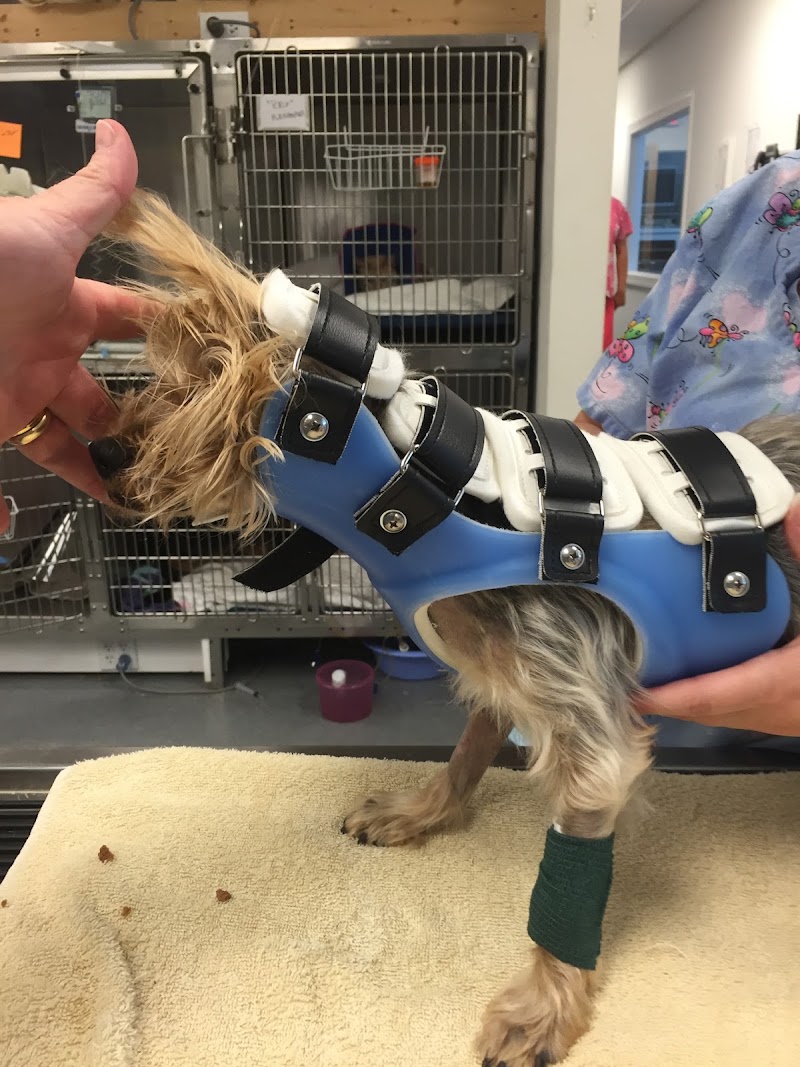 Animal Ortho Care