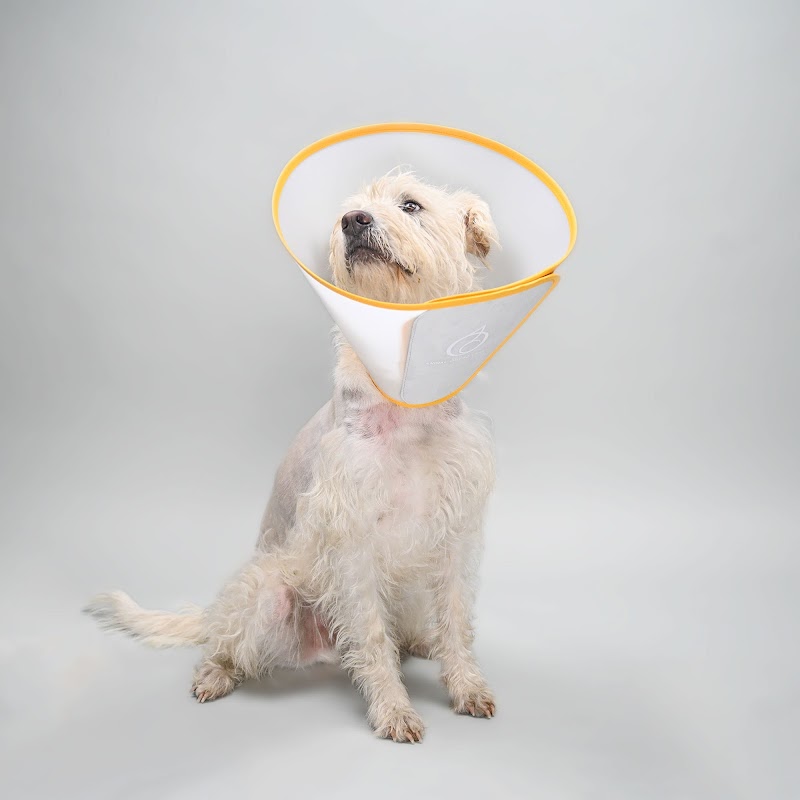 Animal Ortho Care