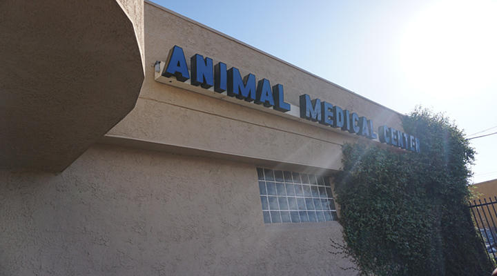 VCA Animal Medical Center