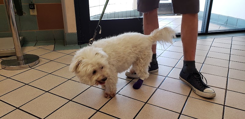 VCA Animal Medical Center