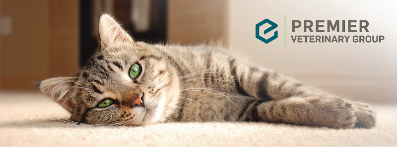 Premier Veterinary Group - Chicago - Chicago