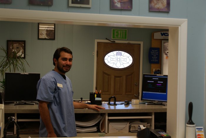 VCA Main Street Animal Hospital