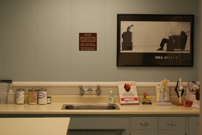 VCA Main Street Animal Hospital