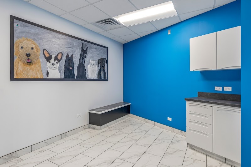 Precious Bond Animal Hospital