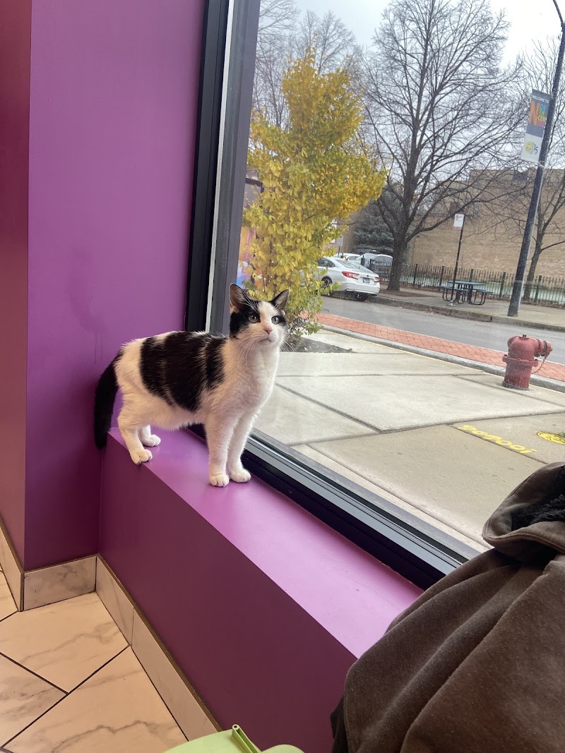 Precious Bond Animal Hospital