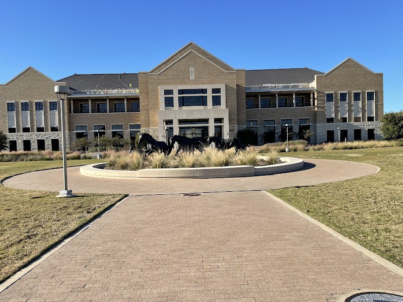 Texas A&M University College of Veterinary Medicine & Biomedical Sciences