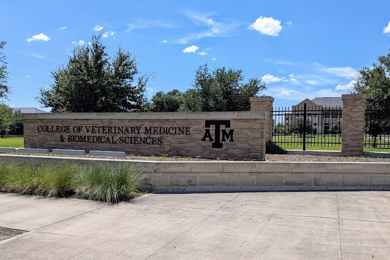 Texas A&M University College of Veterinary Medicine & Biomedical Sciences