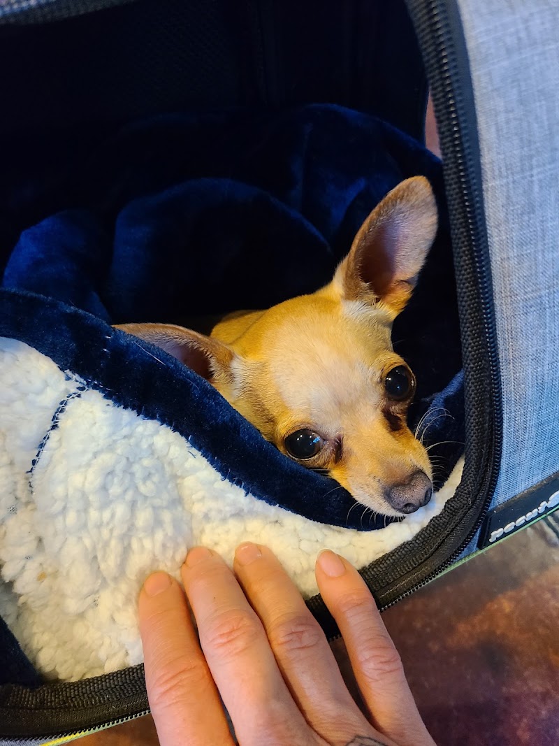 Cascade Veterinary Referral Center