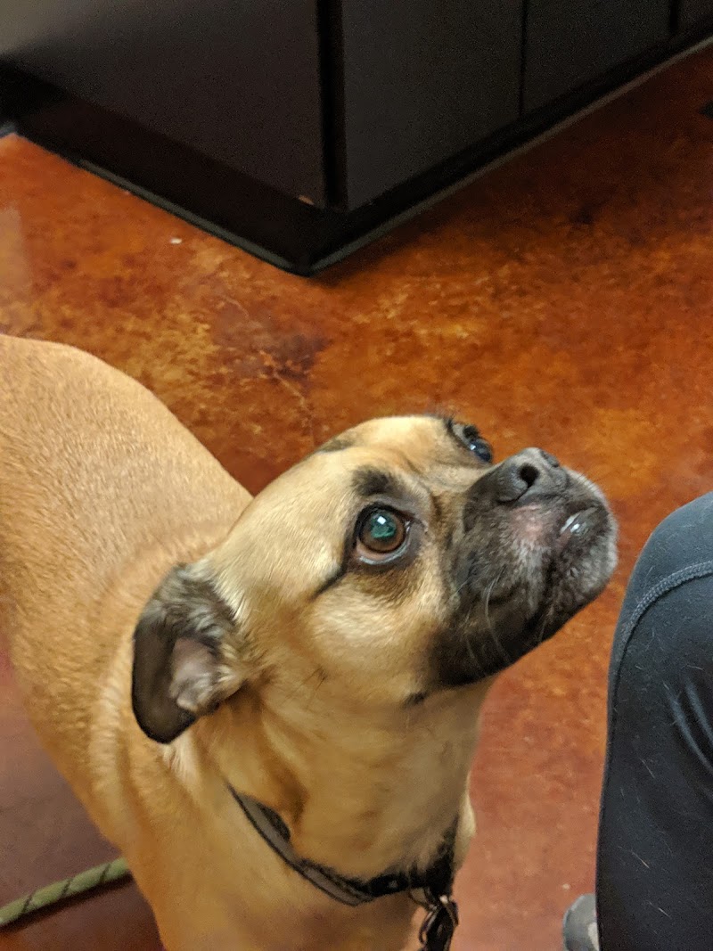 Cascade Veterinary Referral Center