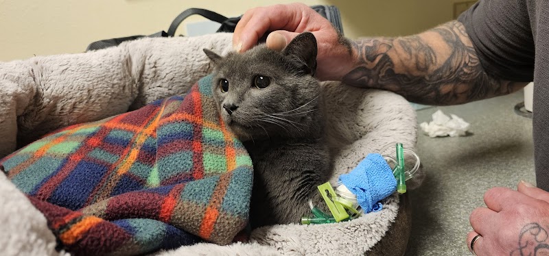 Cascade Veterinary Referral Center