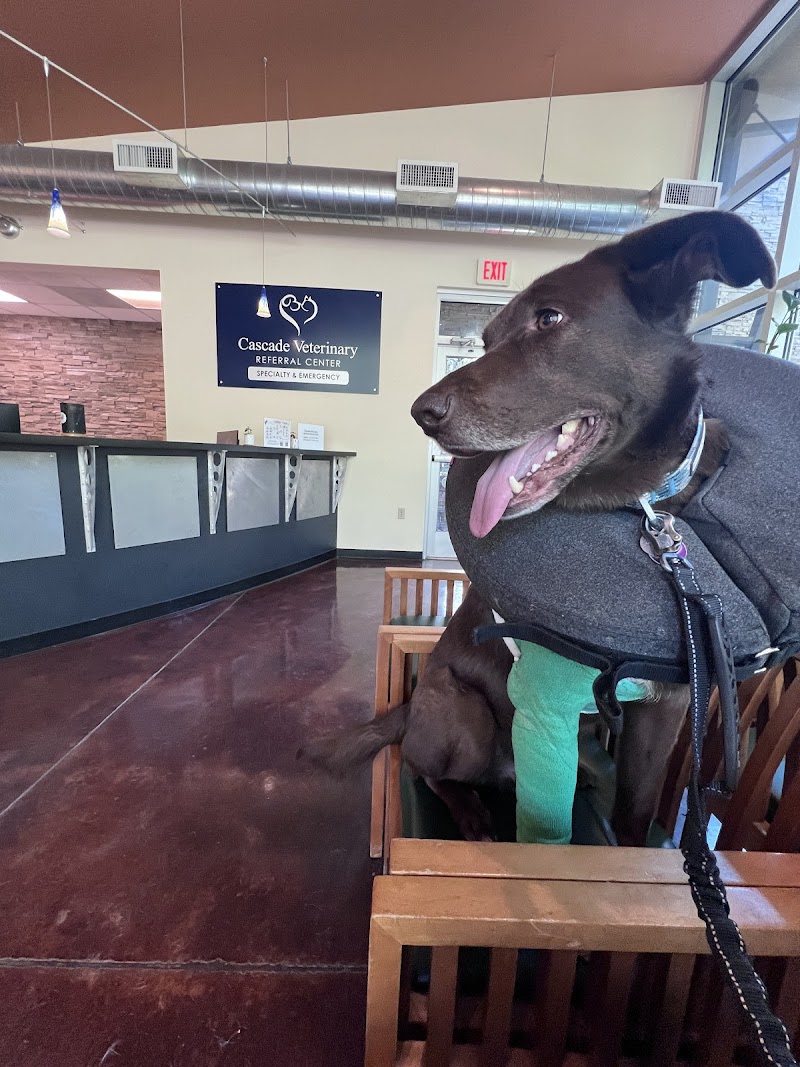 Cascade Veterinary Referral Center