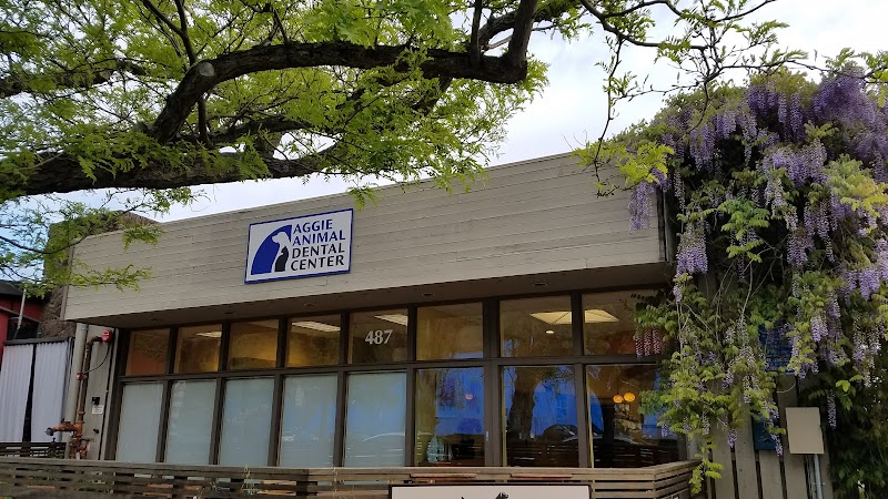 Aggie Animal Dental Center