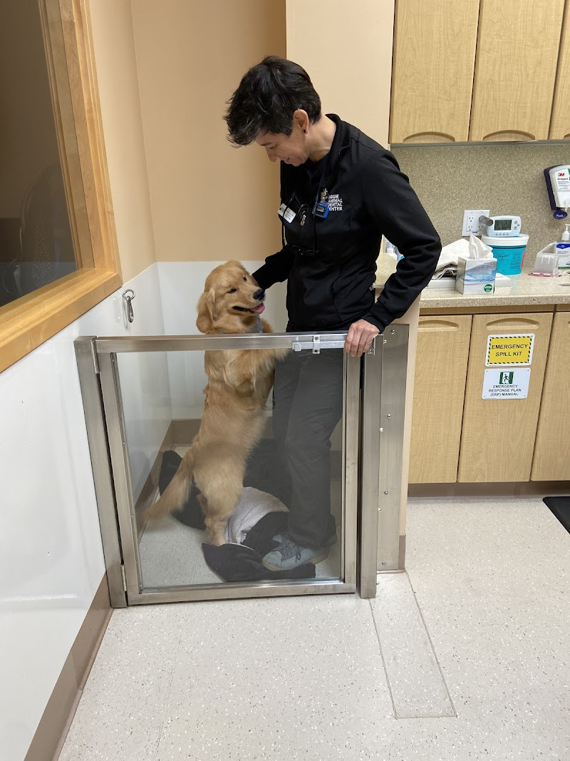 Aggie Animal Dental Center