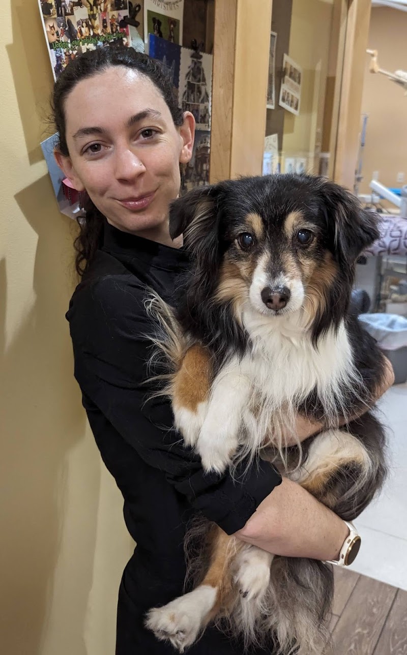 Aggie Animal Dental Center