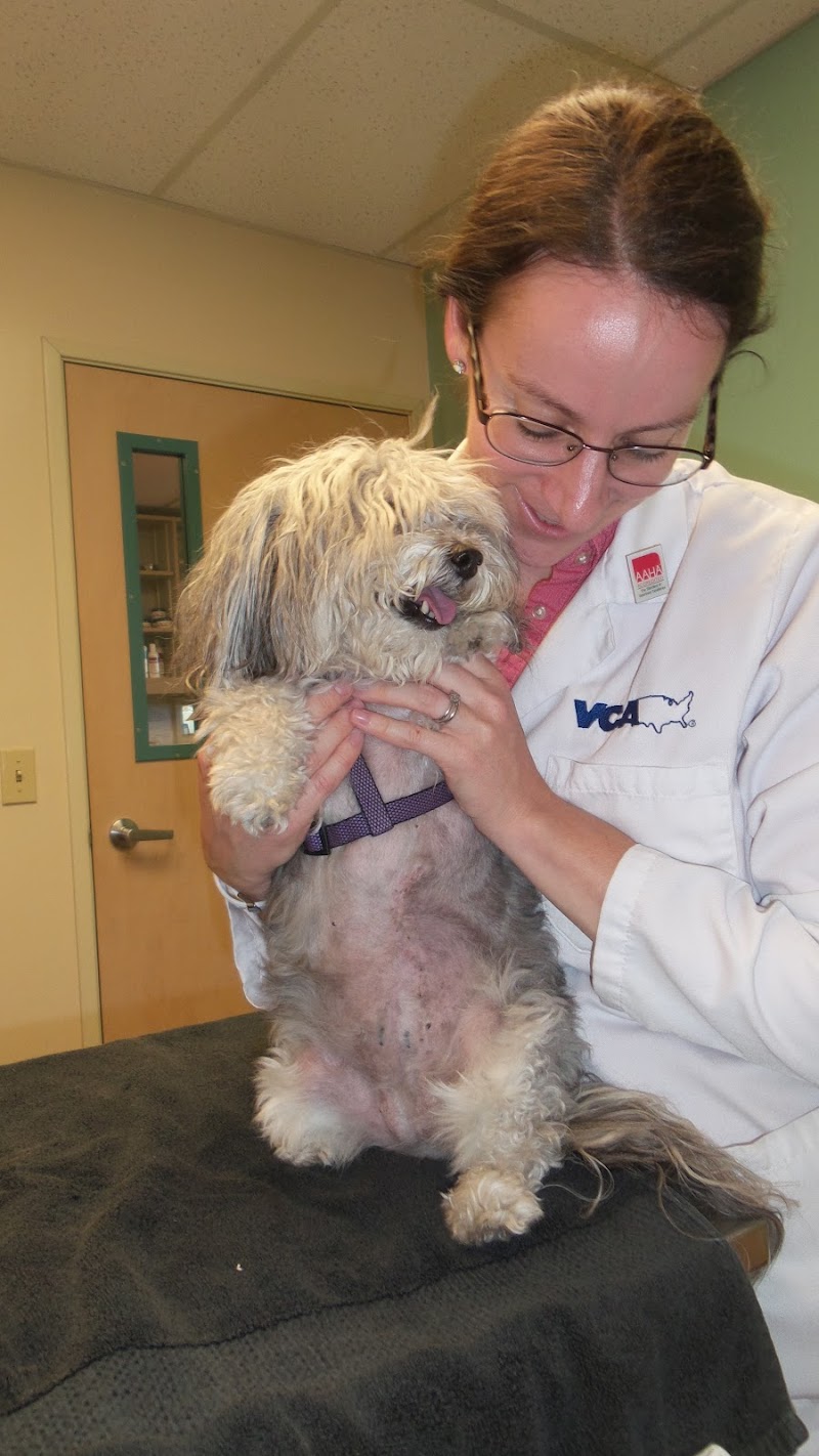 VCA Vets & Pets Animal Hospital