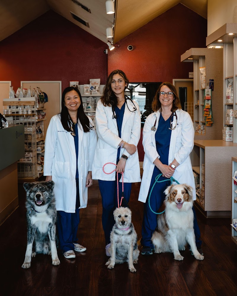 VCA Vets & Pets Animal Hospital