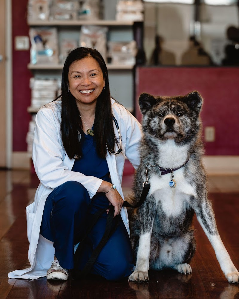 VCA Vets & Pets Animal Hospital