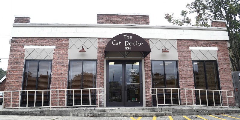 The Cat Doctor