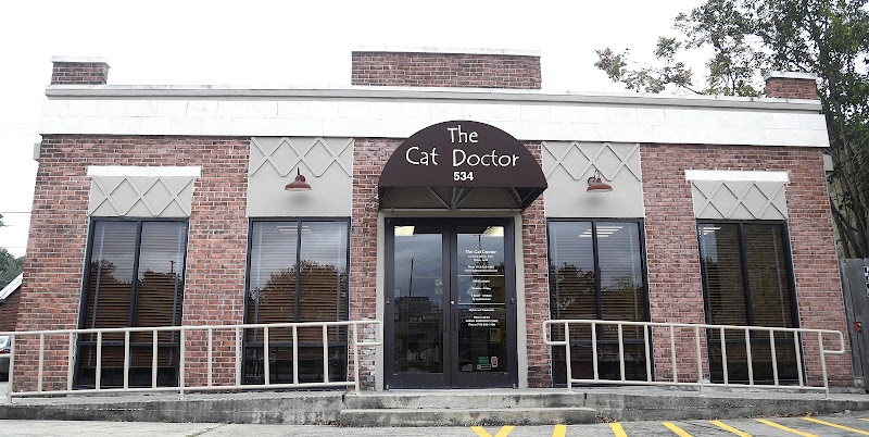 The Cat Doctor