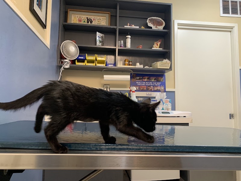 Sunset Veterinary Hospital