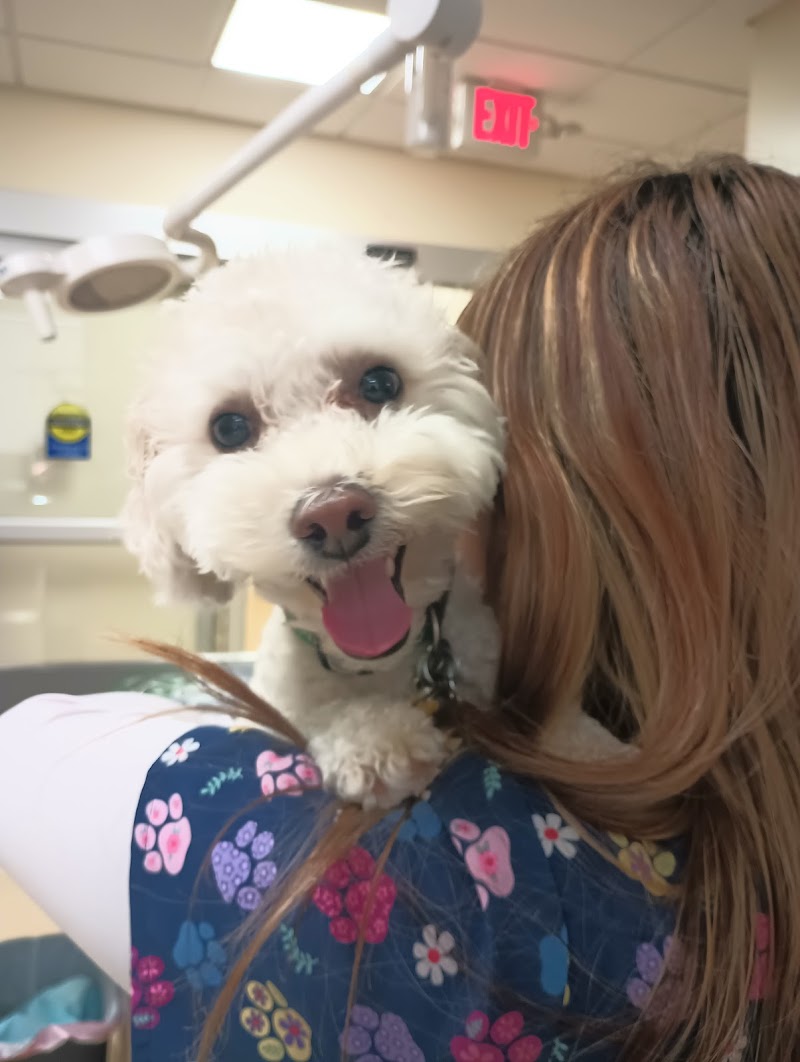 Thornwood Pet Care